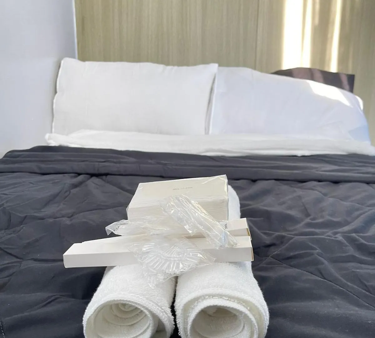 Dandelion Shore Residences 1Br Manila Philippines